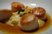 Scallops With Mustard Sauce