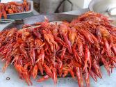 Seafood Delight