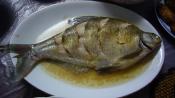 Shanghai Marinade