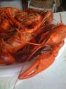 Spicy Boiled Crayfish