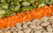 Split Peas And Lentils