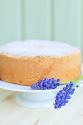 Cherry Banana Sponge Cake Dessert