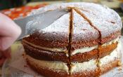 Almond-sponge Layer