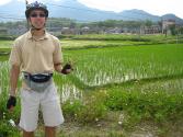 Spring Paddy Rice