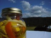 Squash Pickles