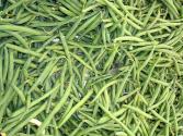 Squeaky Green