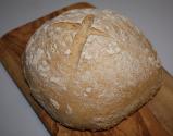 Sour Dough Starter