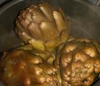 Steamed Artichokes