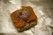 Steamed Dried Mushrooms