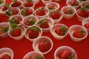 Easy Strawberries Romanoff