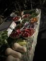 Stuffed Cherry Peppers