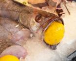 Stuffed Fish