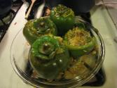 Mushroom Stuffed Beef Birds