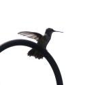 Summer Hummer Cocktail