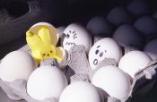  Surprise Easter Eggs