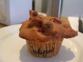 Sweet Apple Muffins 