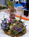 Sweet Pastry Flowers