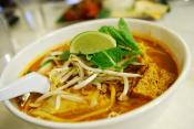 Tangy Chicken Noodle Soup