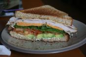Tasty Turkey Sandwiches