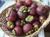 Tropical Fruit Baskets