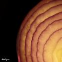 Vegetable Tranche