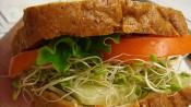 Vegetarian Sprout Sandwiches