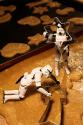 Civil War Applesauce Cookies