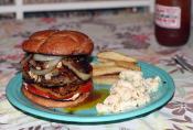 Whole Wheat Buns