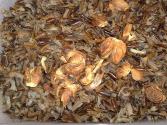 Wild Brown Rice 