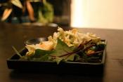 Yogurt Coleslaw