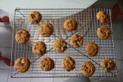 Yummy Chocolate Chip Cookies