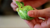 Easy Way To Cook Brussels Sprouts