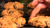 Chocolate Chip Cookies Recipe