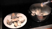 New England Clam Chowder