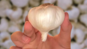 Tips To Roast Garlic