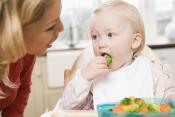 How To Make Baby Food At Home   Mother Makes Best 