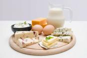 Choose High-protein Food For Children