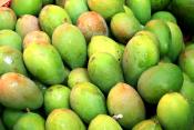 Eat Raw Mangoes To Remain Healthy And Young