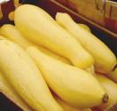 How to freeze yellow squash 