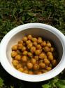 Garbanzo Beans With Sesame Oil