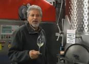 Introduction Of Sparkling Wines