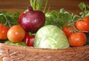 Intro To Eating Seasonally