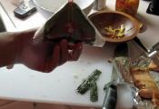 Fun With Onigiri