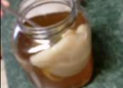 Kombucha