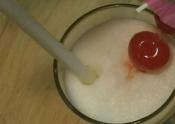Lady Kook's Pina Colada 