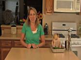 Leftovers Can Kill, Are You Safe?
