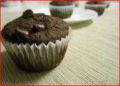Low Fat Zucchini Double Chocolate Chip Muffin 