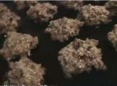 Healthy Oatmeal Cookies