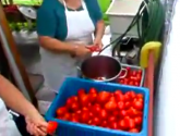Preparing Tomato Sauce