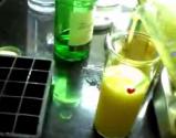 Blended Mango And Gin